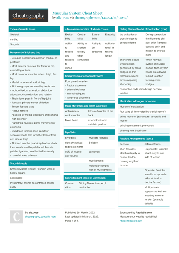 Muscular System Cheat Sheet by ally_rose - Download free from ...