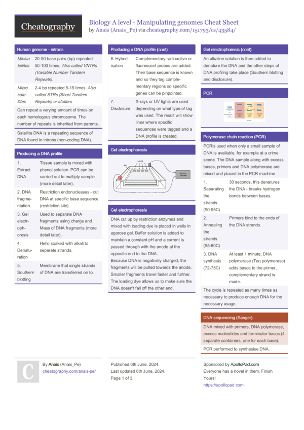 Biology A level - Manipulating genomes Cheat Sheet by Anais_Pe ...