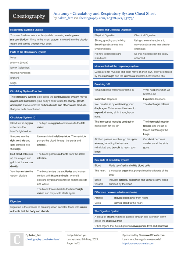 Anatomy - Circulatory and Respiratory System Cheat Sheet by baker_fam ...