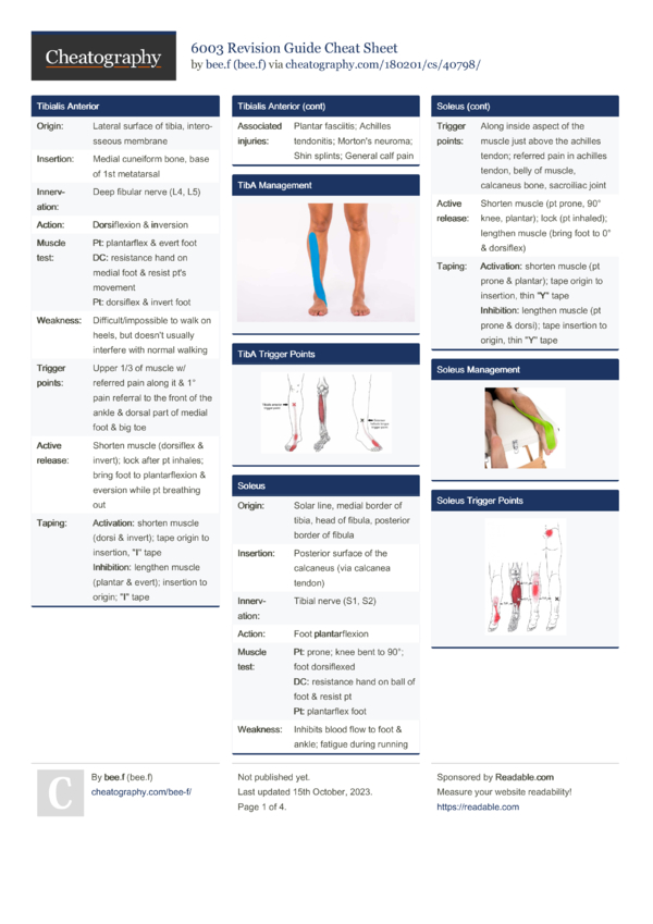 6003 Revision Guide Cheat Sheet by bee.f - Download free from ...