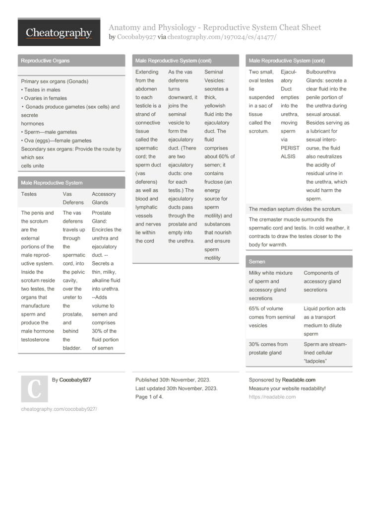 Rails 5 Security Cheat Sheet by dwapi - Download free from Cheatography -  : Cheat Sheets For Every Occasion