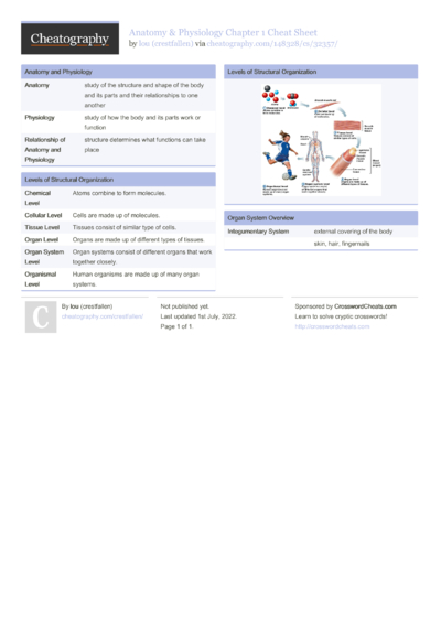 81 Anatomy Cheat Sheets - Cheatography.com: Cheat Sheets For Every Occasion