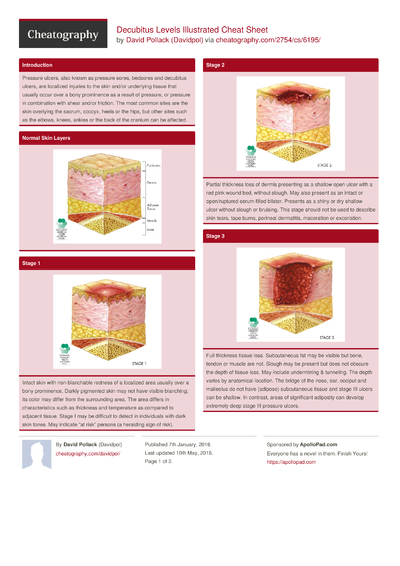 Decubitus: High Risk Areas on Body Cheat Sheet by Davidpol - Download ...