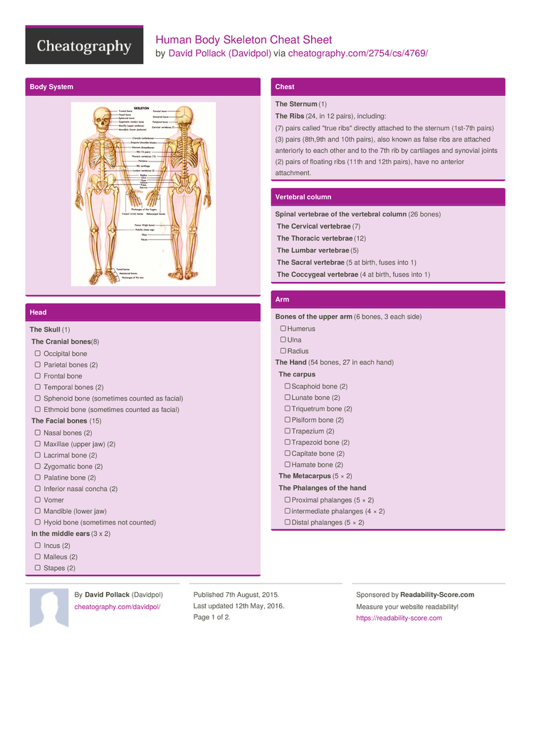 Anatomy Cheat Sheet