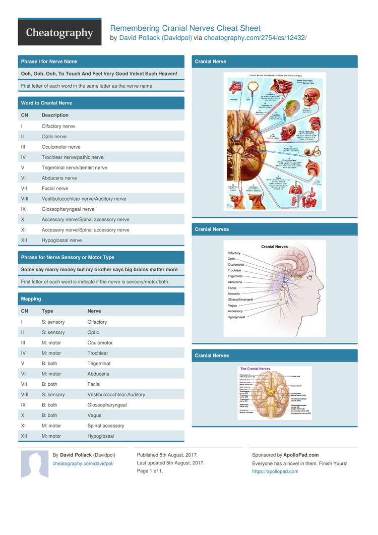 Remembering Cranial Nerves Cheat Sheet by Davidpol - Download free from ...