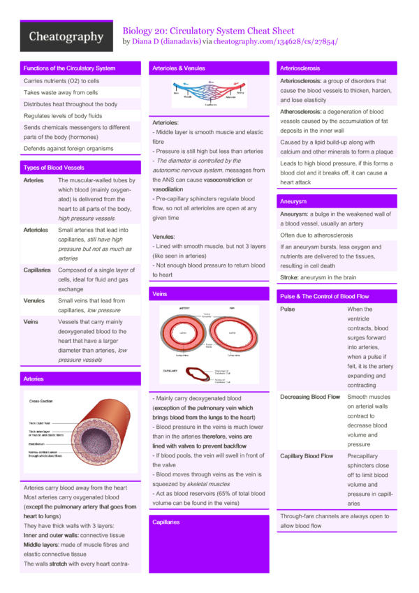 Biology 20: Circulatory System Cheat Sheet By Dianadavis - Download ...