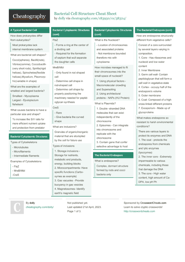 Bacterial Cell Structure Cheat Sheet by dolly - Download free from ...