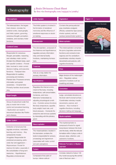 Marching Basics Cheat Sheet by maddiet1999 - Download free from ...