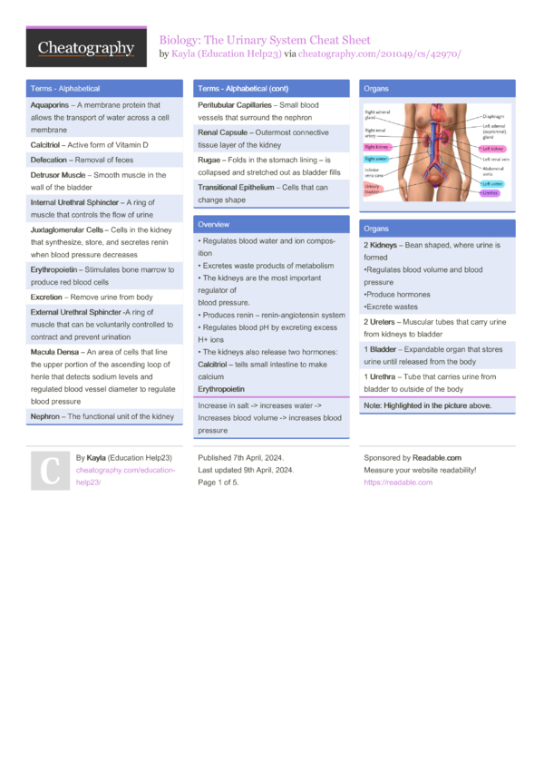 Biology: The Urinary System Cheat Sheet by Education Help23 - Download ...