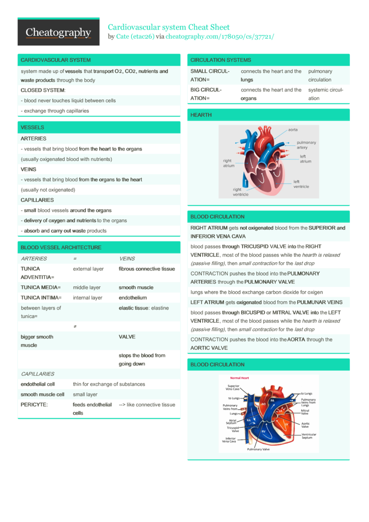 Cardiovascular System Cheat Sheet By Etac26 - Download Free From ...