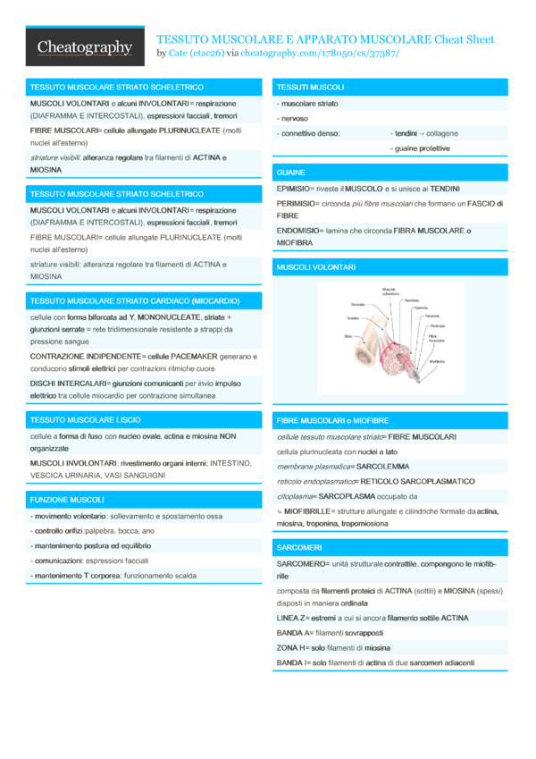 Cardiovascular System Cheat Sheet By Etac26 Download - vrogue.co