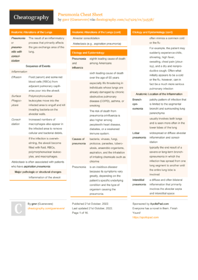 Cheat Sheets Matching "xping Test query for encyclopedia answer ...