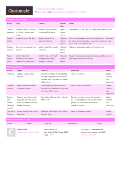 79 Anatomy Cheat Sheets - Cheatography.com: Cheat Sheets For Every Occasion