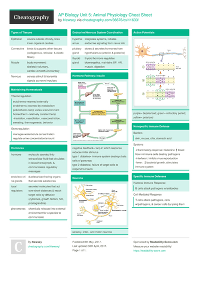 Test EEB-101 Score Report