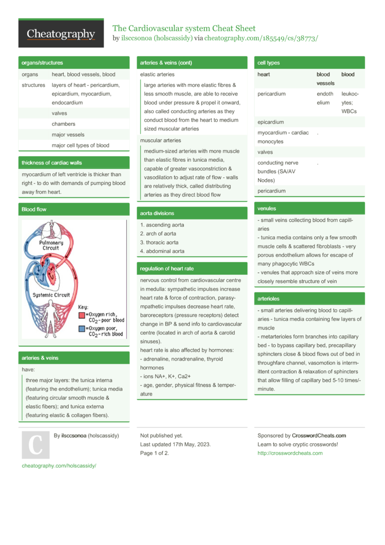 The Cardiovascular System Cheat Sheet By Holscassidy - Download Free ...