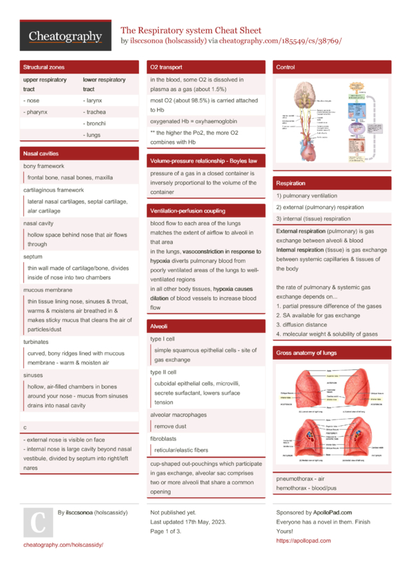 The Respiratory system Cheat Sheet by holscassidy - Download free from ...