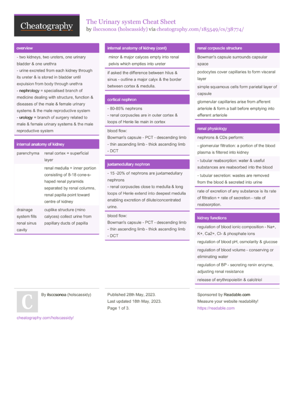 The Urinary system Cheat Sheet by holscassidy Download free from