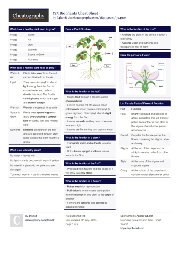 Yr5 Bio Plants Cheat Sheet by J4ke78 - Download free from Cheatography ...