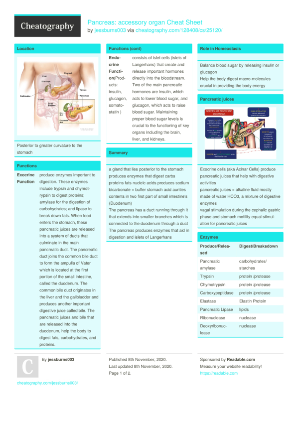 Pancreas accessory organ Cheat Sheet by jessburns003 Download free