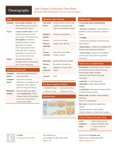 59 Anatomy Cheat Sheets - Cheatography.com: Cheat Sheets For Every Occasion