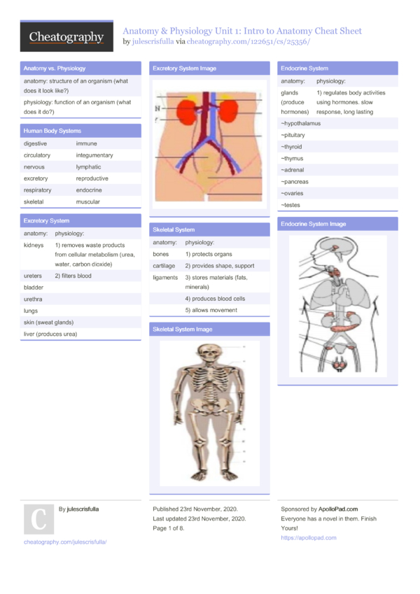 Anatomy & Physiology Unit 1: Intro to Anatomy Cheat Sheet by