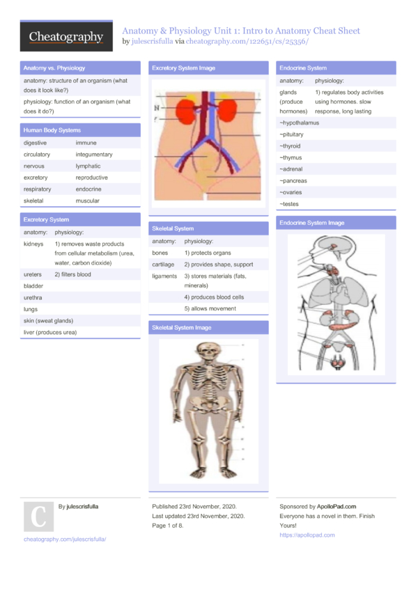 Anatomy And Physiology Cheat Sheet 3BC