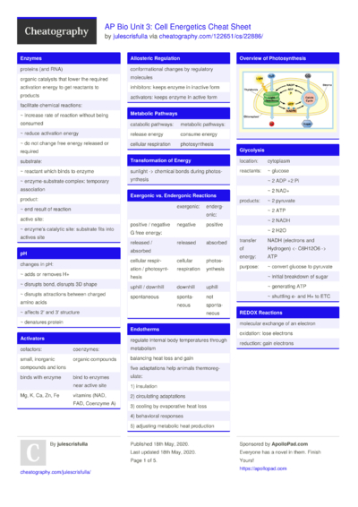 Anatomy & Physiology Unit 1: Intro To Anatomy Cheat Sheet By ...