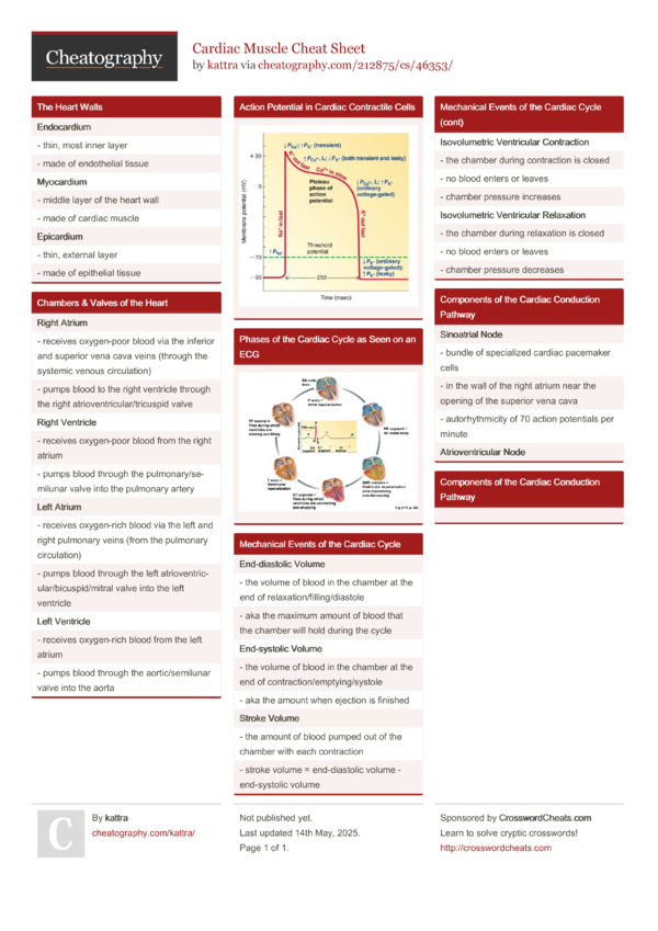Cardiac Muscle Cheat Sheet by kattra - Download free from Cheatography ...