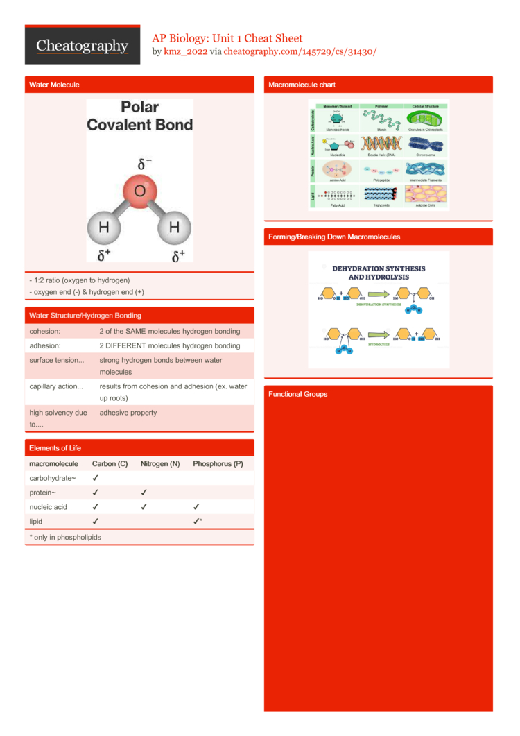 AP Biology Unit 1 Cheat Sheet by kmz_2022 Download free from