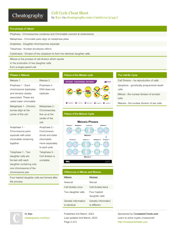 Cell Cycle Cheat Sheet By Kyu Download Free From Cheatography Cheatography Com Cheat Sheets