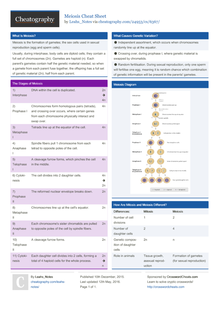 Meiosis Cheat Sheet By Leahs Notes Download Free From Cheatography Cheatography Com Cheat Sheets For Every Occasion