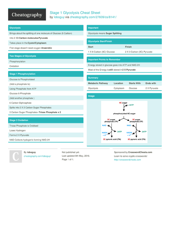 Stage 1 Glycolysis Cheat Sheet by loboguy - Download free from ...