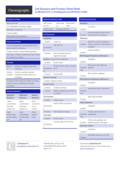 Anatomy & Physiology Unit 1: Intro To Anatomy Cheat Sheet By ...