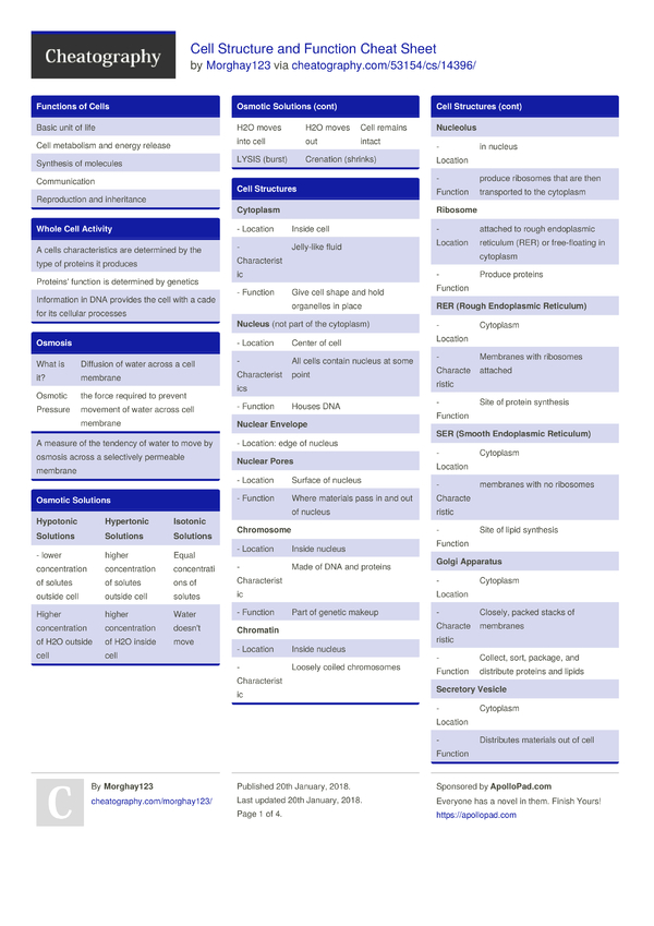 Cell Structure and Function Cheat Sheet by Morghay123 - Download free