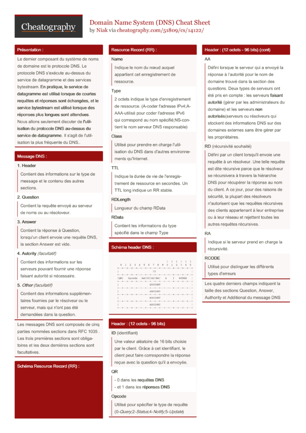 Domain Name System (DNS) Cheat Sheet by Niak - Download free from ...
