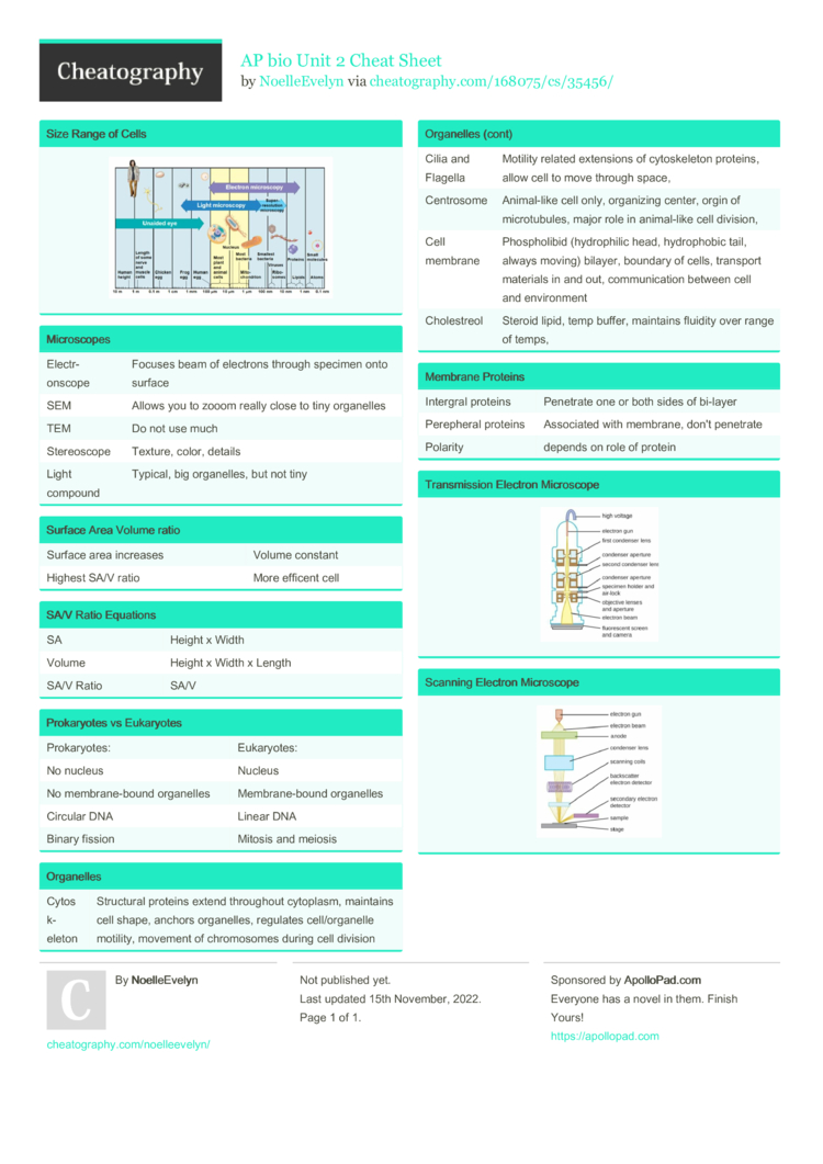 AP bio Unit 2 Cheat Sheet by NoelleEvelyn Download free from