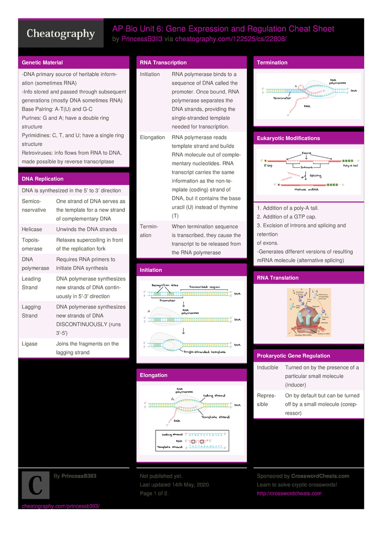 AP Bio Unit 6: Gene Expression And Regulation Cheat Sheet By ...