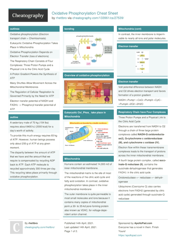 Oxidative Phosphorylation Cheat Sheet by rhettbro - Download free from ...