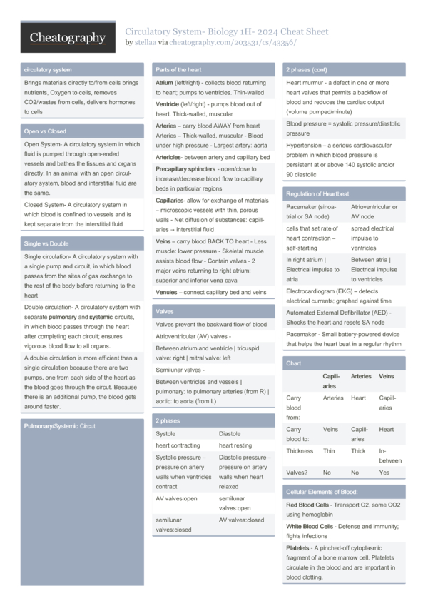 Circulatory System- Biology 1H- 2024 Cheat Sheet by stellaa - Download ...