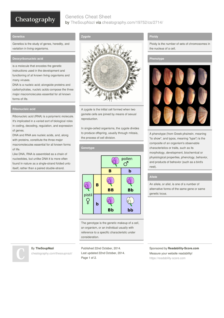 download potato production and innovative technologies