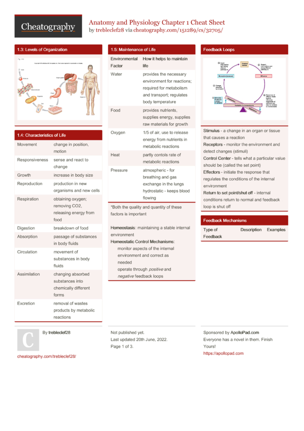 Anatomy and Physiology Chapter 1 Cheat Sheet by trebleclef28 - Download ...