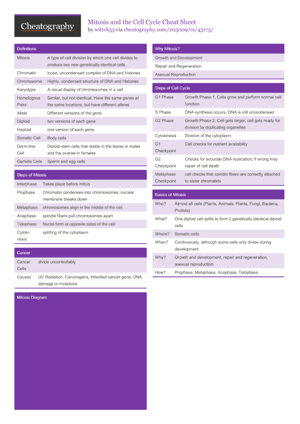 Mitosis and the Cell Cycle Cheat Sheet by wittek53 - Download free from ...